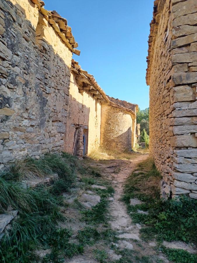 Fuentes de RubielosLa Vieja Escuela别墅 外观 照片